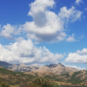 FINCA RUSTICA OCIO, CABALLOS, HUERTOS..