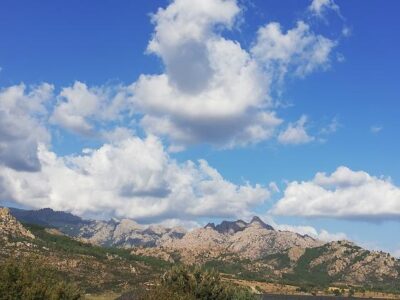 FINCA RUSTICA OCIO, CABALLOS, HUERTOS..